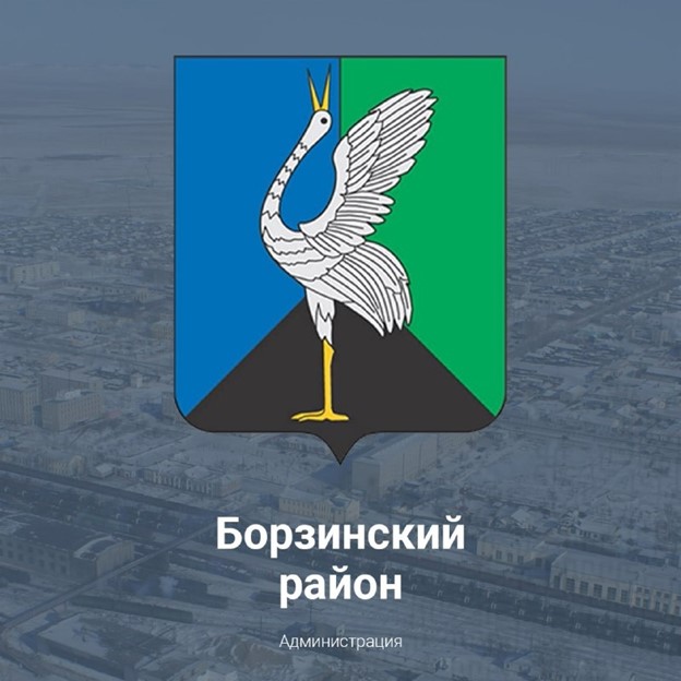 Муниципальное образование ЗАБАЙКАЛЬСКИЙ КРАЙ МУНИЦИПАЛЬНЫЙ РАЙОН &amp;quot;БОРЗИНСКИЙ РАЙОН&amp;quot;.
